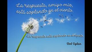 ¿Qué hubiera dicho Castillo?