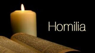 La homilía, un desafío pendiente