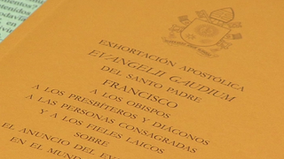 Diez años de la Evangelii Gaudium