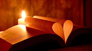 La palabra es amor