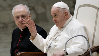 El papa, en la audiencia