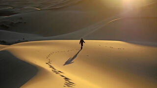 En medio del desierto