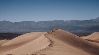Una palabra, muchas palabras para este tiempo - el desierto