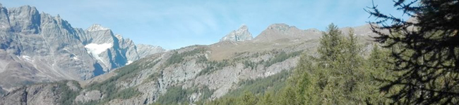 champleve-seither