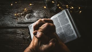 Días para la acogida