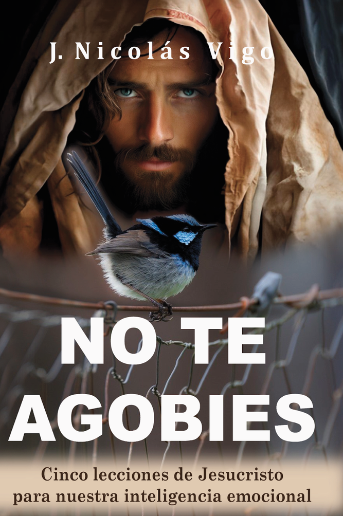 Libro de Nicolás Vigo