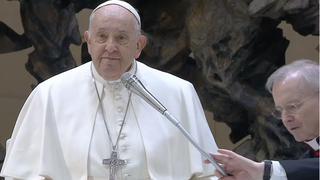 Francisco, en la audiencia general de este miércoles