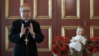 Cardenal Rueda