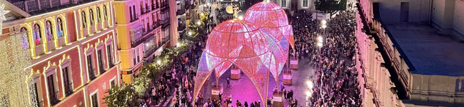 navidad-turina