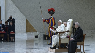 Francisco, durante la audiencia de hoy