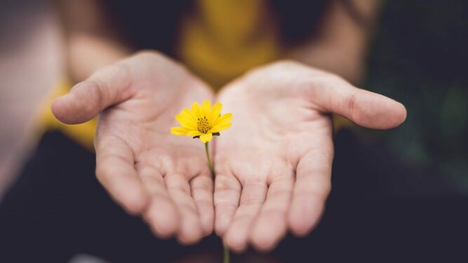 Las bendiciones que brotan de la vida sin necesidad de mediación eclesial