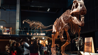 Exposición Dinosaurios de la Patagonia en el Museo de la Ciencia CosmoCaixa, en Barcelona.