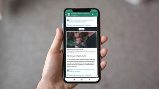 La Predicación diaria del Evangelio de Dominicos por fin en tu WhatsApp