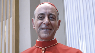 El cardenal Fernández