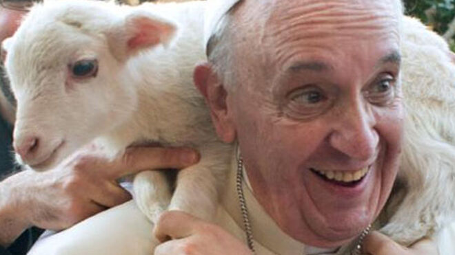 Papa Francisco