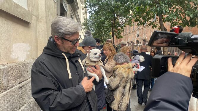 Bendición de animales en San Antón