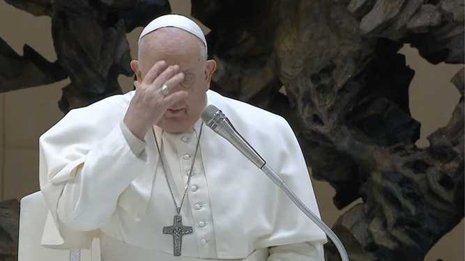 El Papa hace la señala de la cruz al inicio de la audiencia general