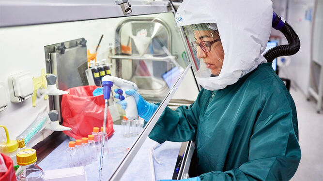 Investigación