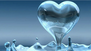 Mística de la co-pertenencia