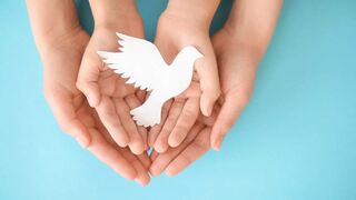 Educación, pieza clave de la Paz