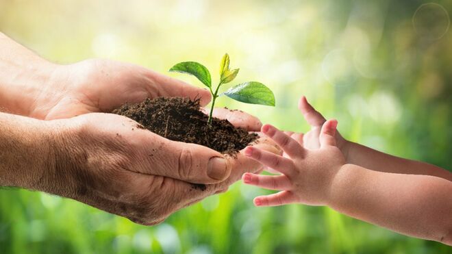 Educación Ambiental