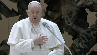 Francisco hace la señal de la cruz al comienzo de la audiencia