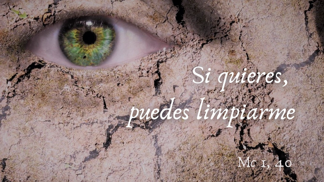 Si quieres, puedes limpiarme