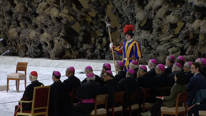 Obispos asistentes a la audiencia general del Papa Francisco