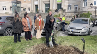 El obispo de Bilbao plantó un olivo por las víctimas de abusos
