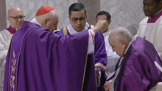 Francisco y la ceniza