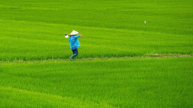 Un agricultor en Asia