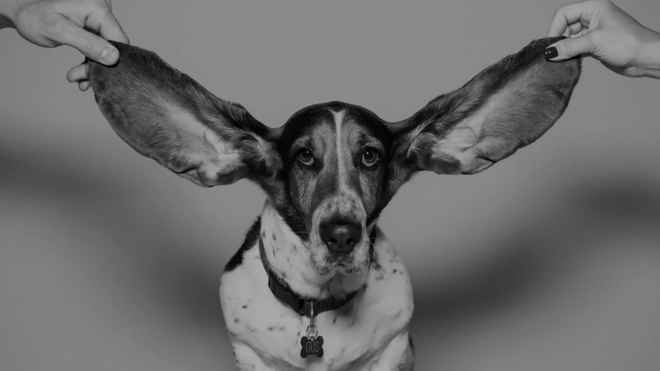 Escuchar