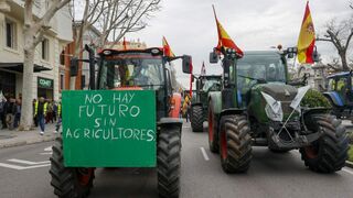 Tractorada en protesta por la situación de los agricultores