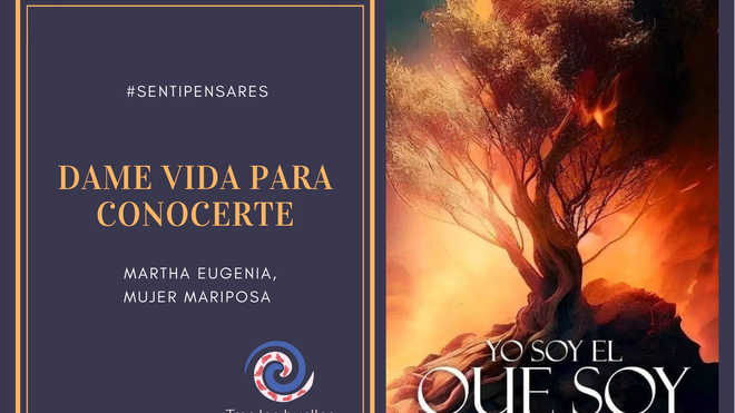 DAME VIDA PARA CONOCERTE