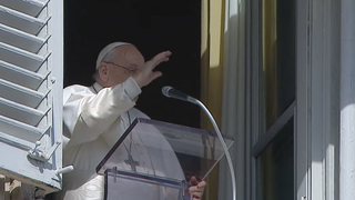 Papa, en el ángelus de hoy