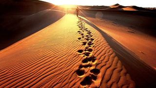 La Cuaresma de la desconexión