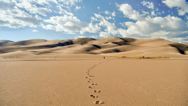 Desierto