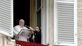 Francisco, en el Angelus de hoy