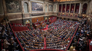 El Senado y el Parlamento aprobaron incluir el derecho al aborto en la Constitución