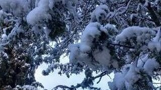 IV Miércoles de Cuaresma