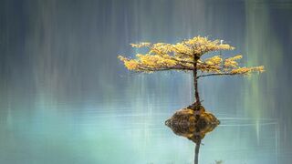 Diálogo cristiano-taoísta