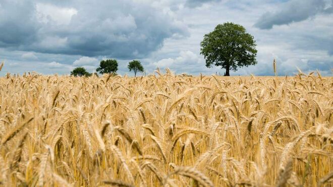 Agricultura