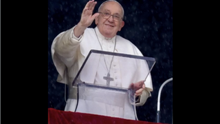 El Papa, en el ángelus