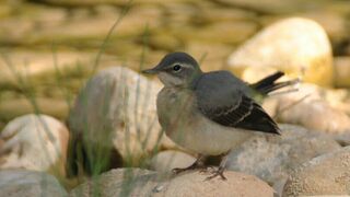 V Miércoles de Cuaresma