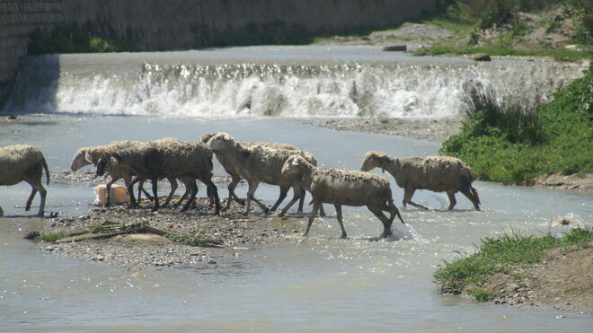 V Sábado de Cuaresma