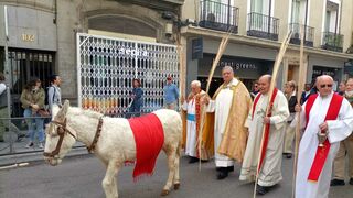 La 'Borriquita' (real) recorre las calles del centro de Madrid en la Semana Santa de San Antón
