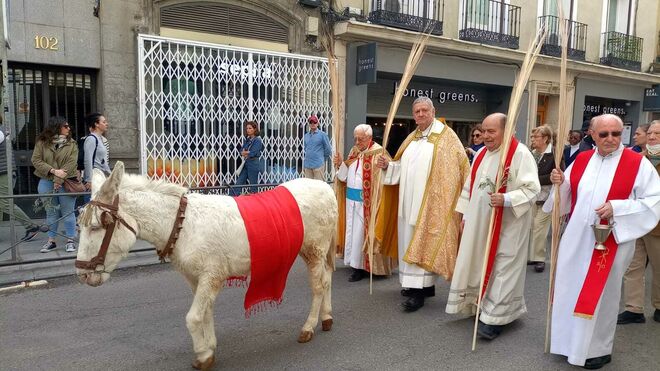 Ramos en San Antón