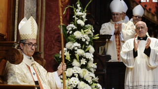 Argüello bendice los ramos en Valladolid