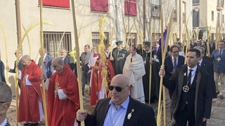 Procesión de las palmas en Zamora