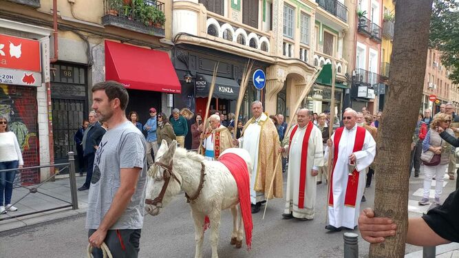 Procesión con la borrica Nieves por el centro de Madrid